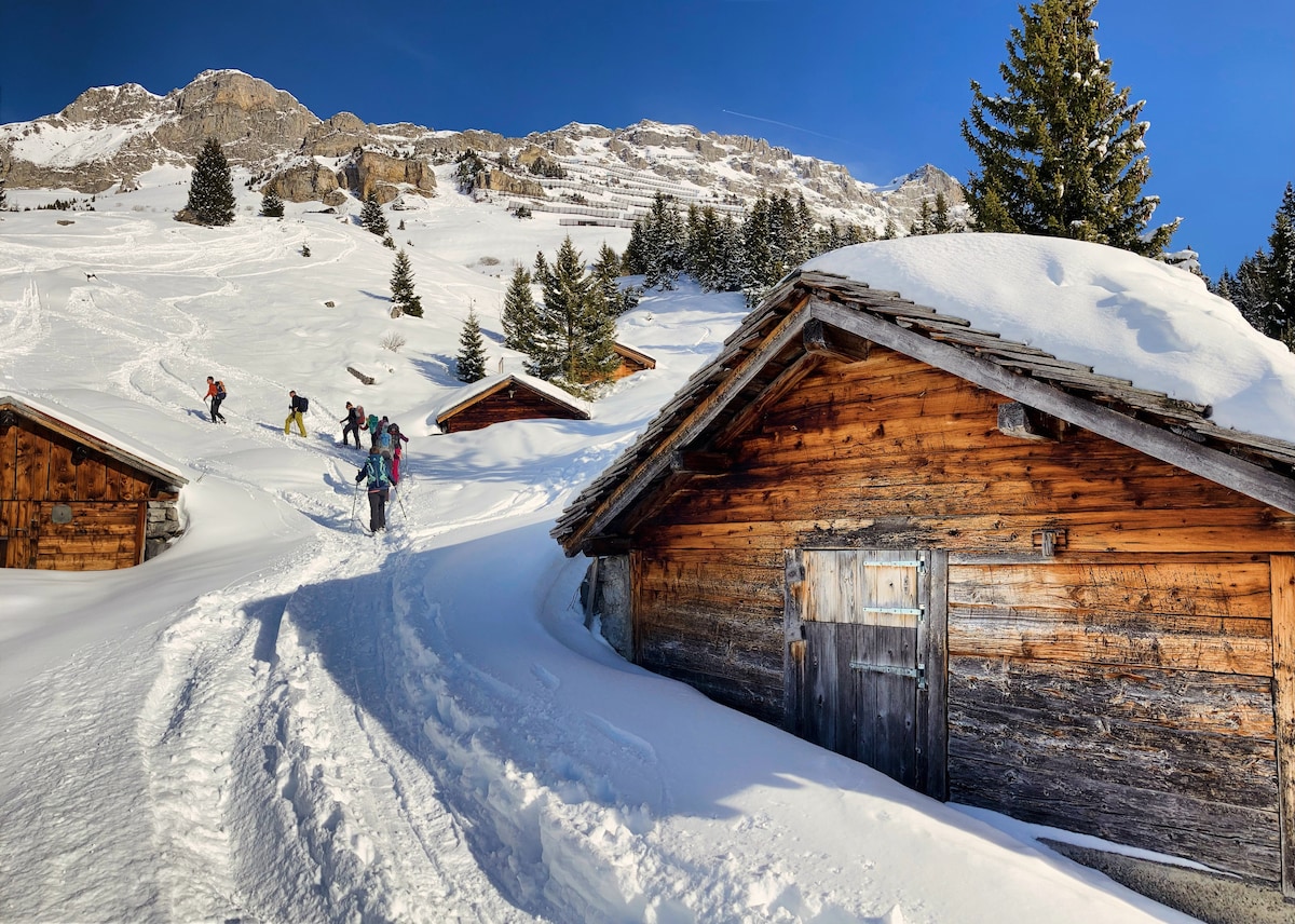 Hike hidden valleys with alpine insider