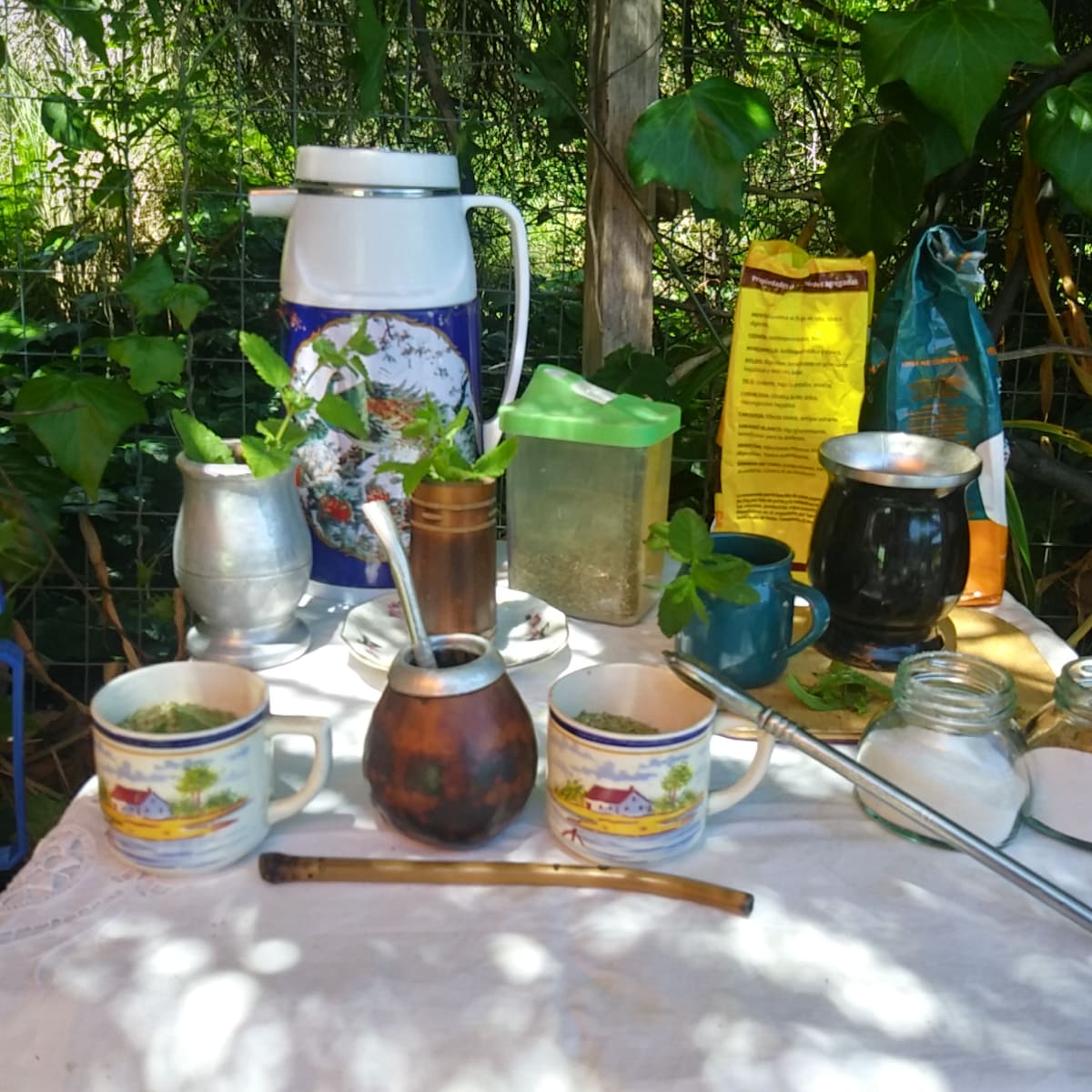 Discover the mate ritual in Colonia