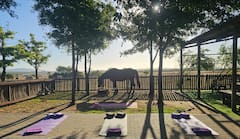 Yoga al aire libre en una granja de caballos
