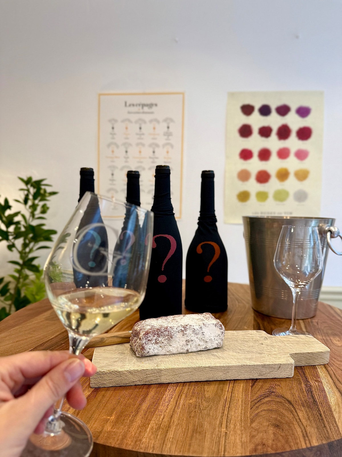 Blind tasting of white wines