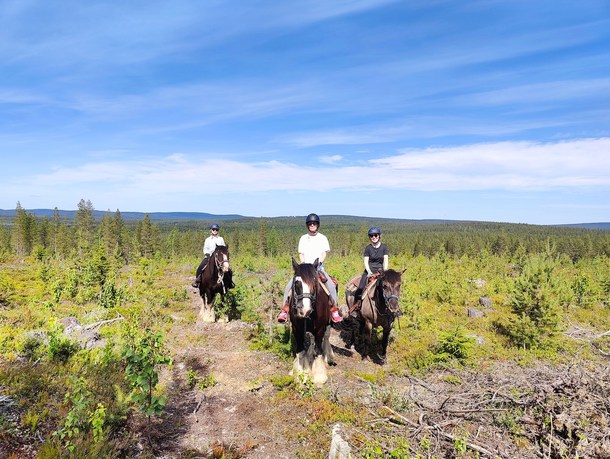 Private & Peaceful Horseback Ride with a Local