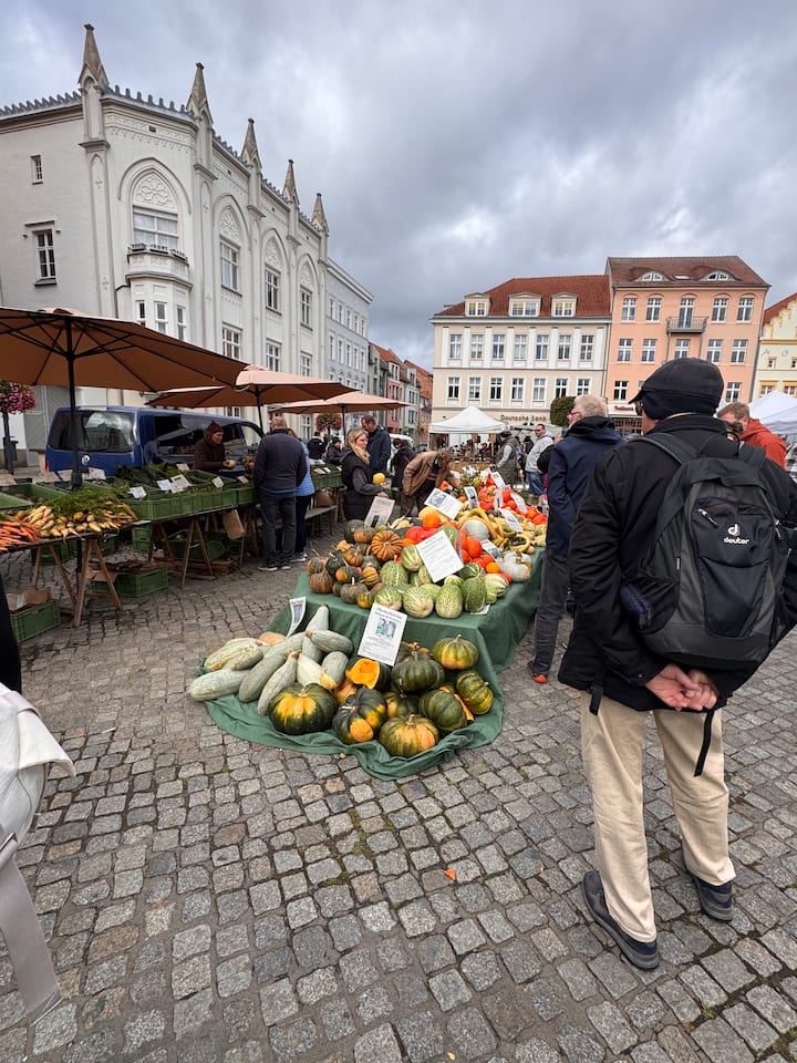 Greifswald emocionues