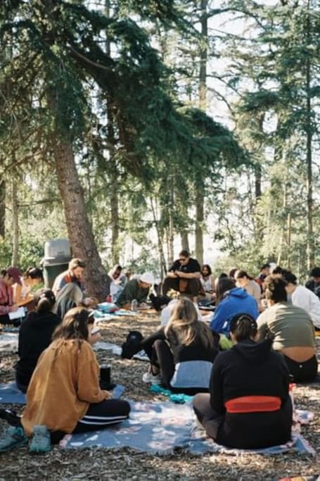 Join a mindfulness hike with The Gratitude Group