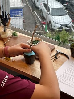 金沢のクラフト盆栽を作ろう（黒タイルの鉢）