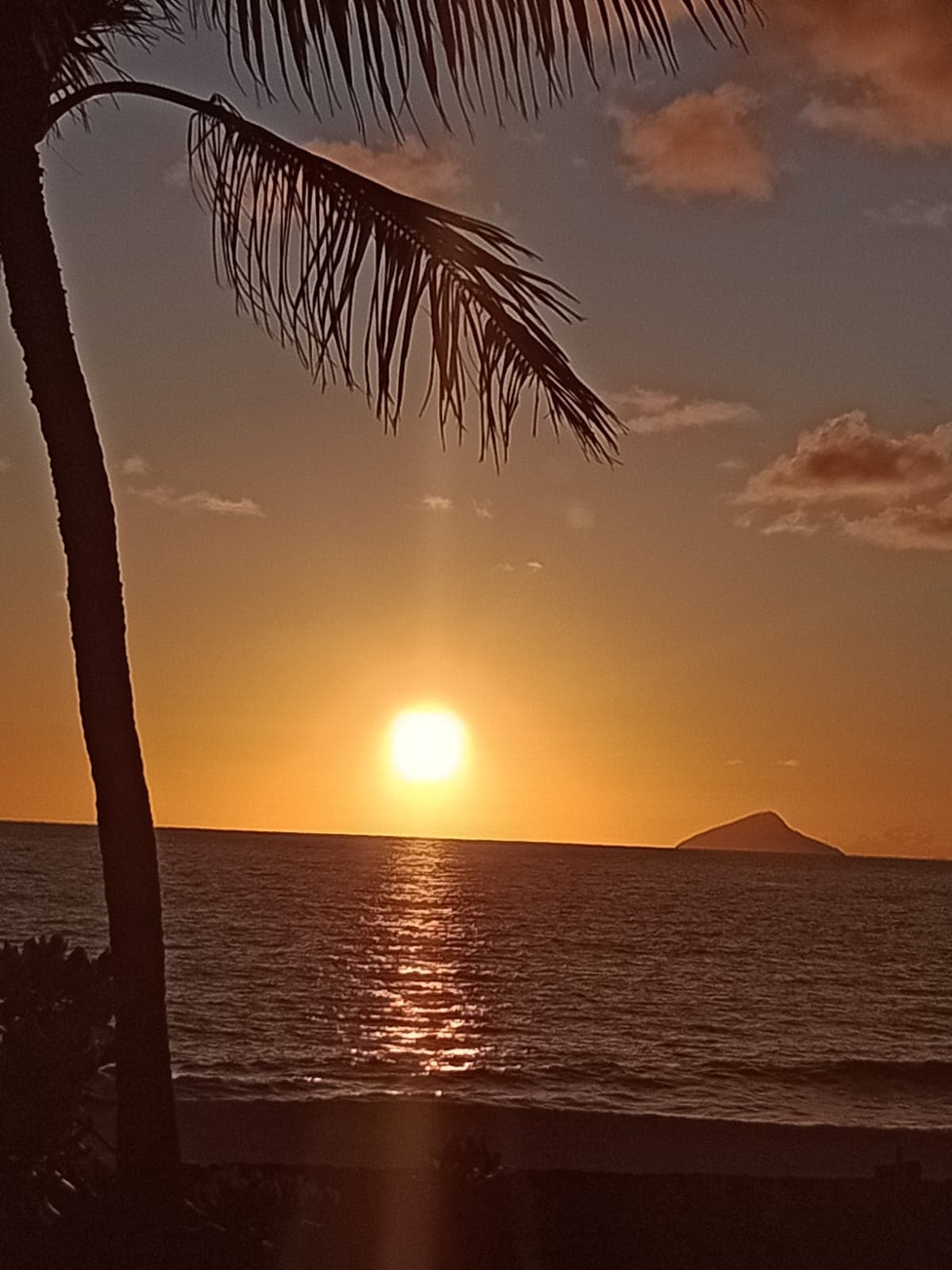 Vaa - Polynesian/Hawaiian Canoe Tours