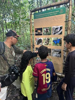 Observación de vida silvestre en el bosque de Aruá