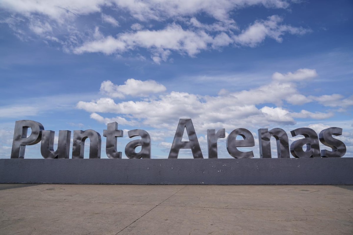 Explore Punta Arenas on foot with a Magellanic