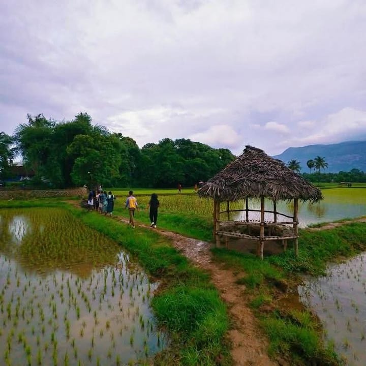 კოლენგოდის სოფლის ბუნება და მემკვიდრეობა