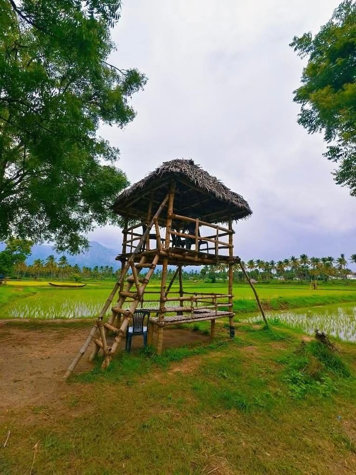 კოლენგოდის სოფლის ბუნება და მემკვიდრეობა