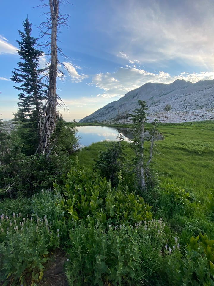 Ecje në male të bukura, sauna dhe ushqim i freskët