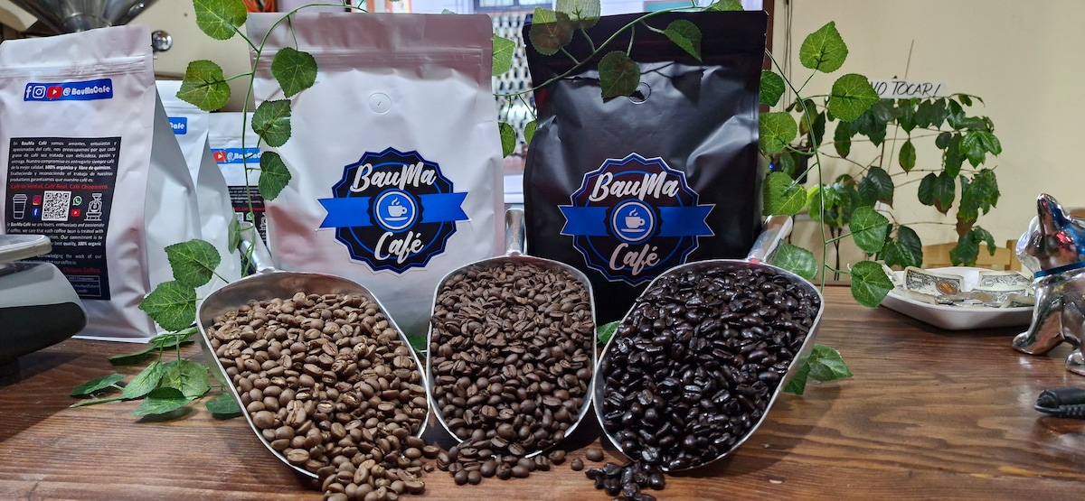 Sensory experience and coffee tasting