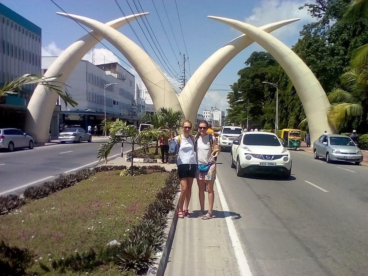 Mombasa City Tour with Haller Park Visit