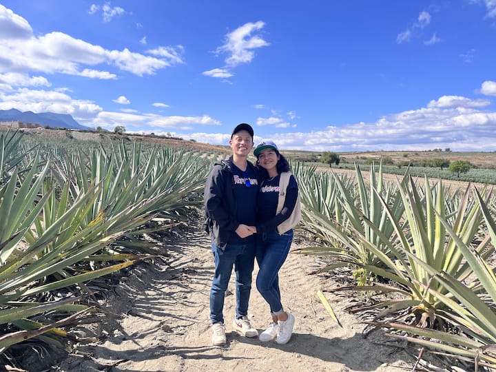 Rrugë kulturore në Oaxaca: mescal, Mitla dhe Teotitlán