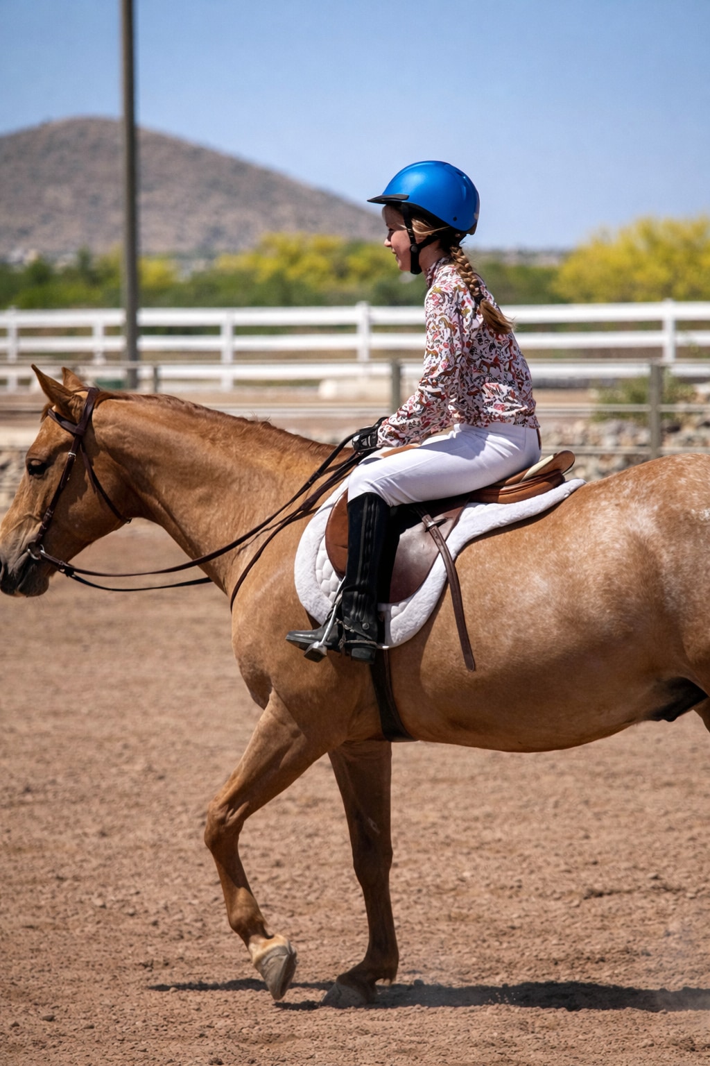 Horseback riding Lessons