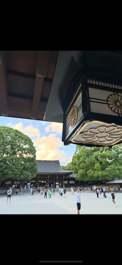 Paseo relajante por el santuario Meiji con un guía japonés