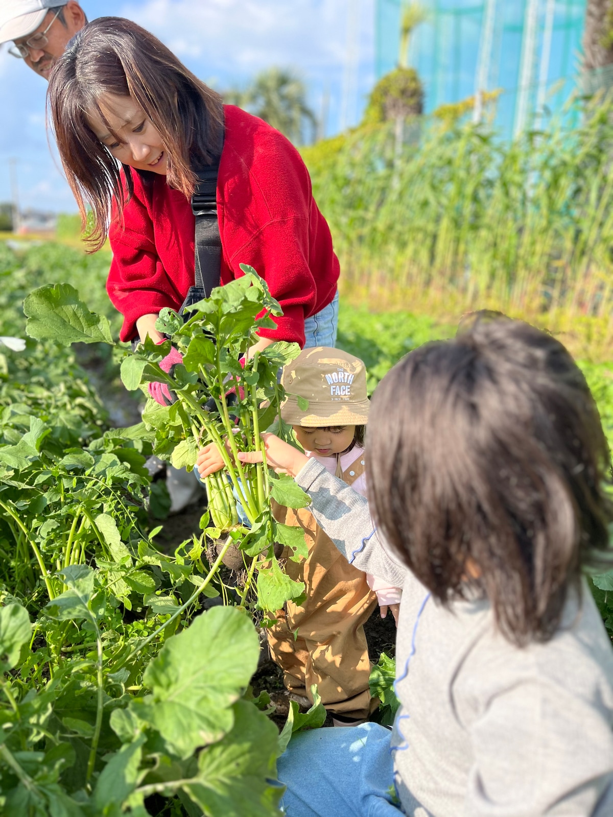 Harvest & Cook at Tachibana Farm