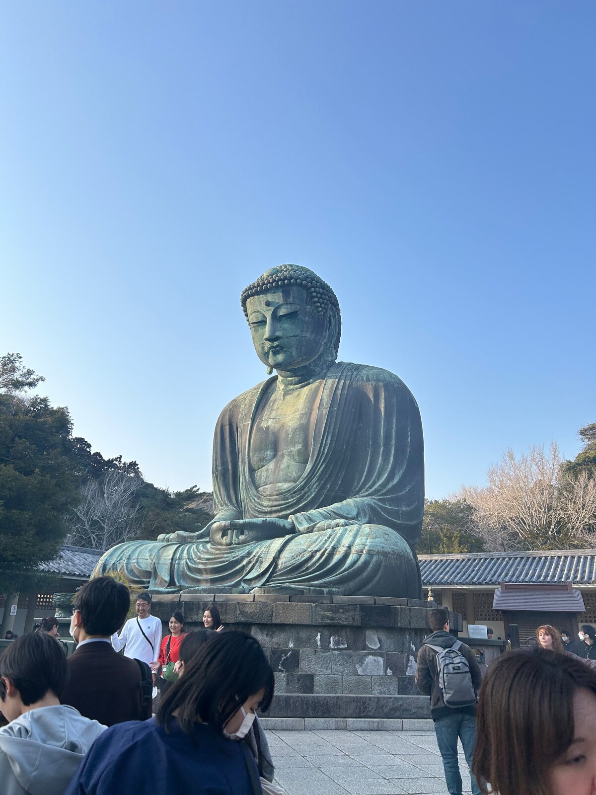 Kamakura & Enoshima Coastal Running Tour