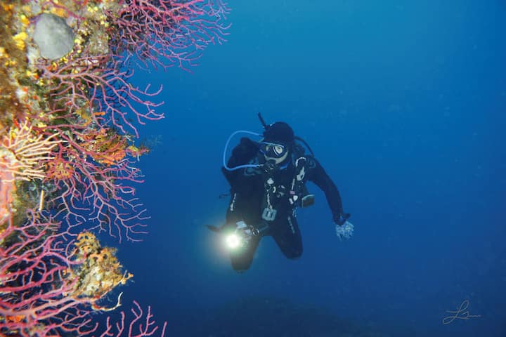 Zbuloni fundin e detit dhe brigjet e Balagne