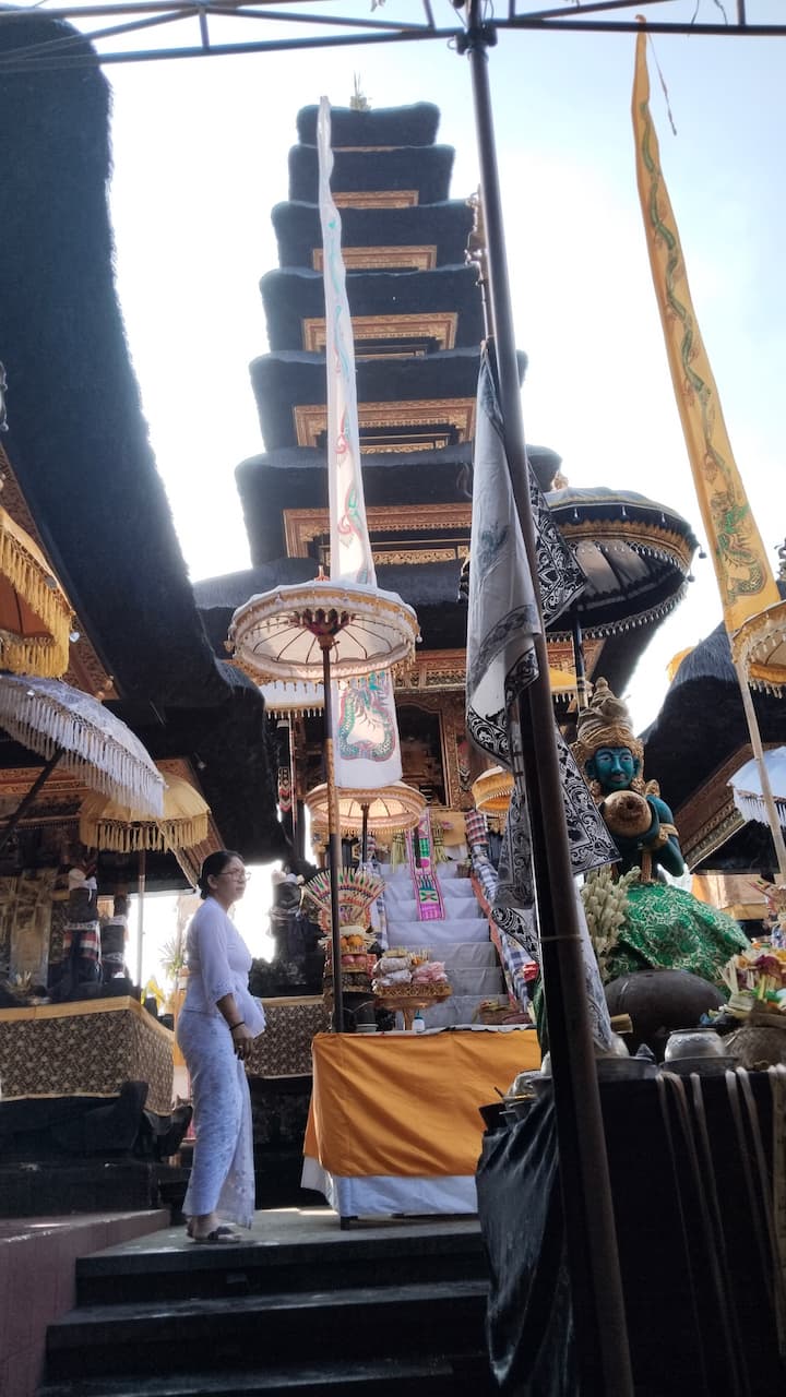 रॉय टूर गाईड