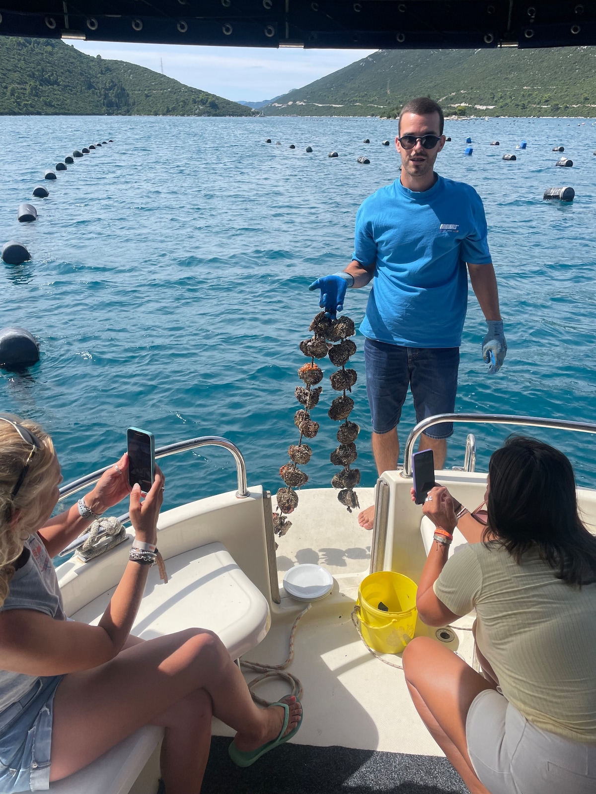 Oysters, Wine & Traditional lunch-local experience