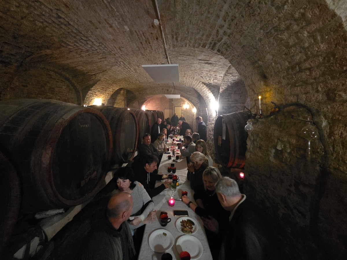 Petőfi, Liszt and Sopron wines