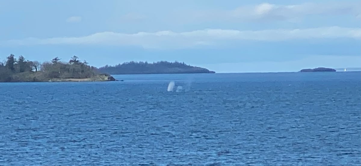 Discover mid-islands hidden gems