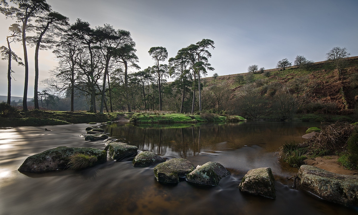 Private Guided Tour of Dartmoor National Park