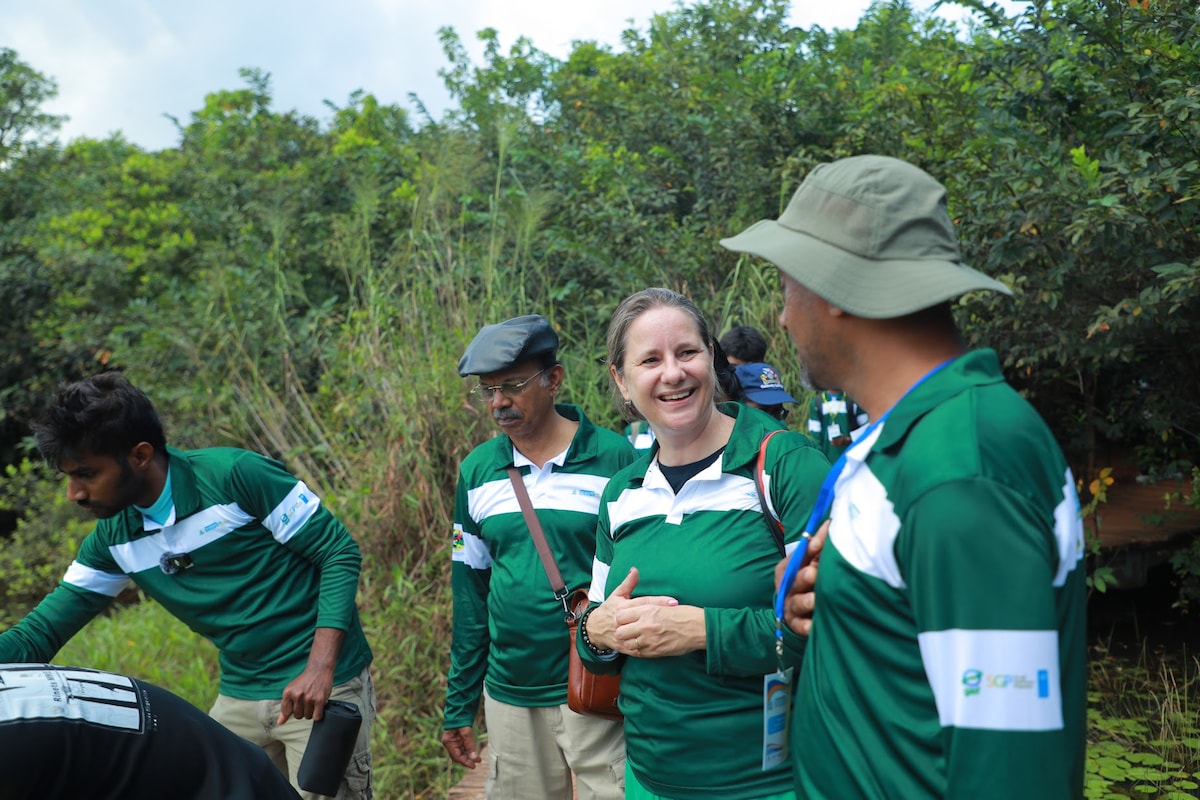 Explore Wetlands on a Calm, Guided Mindful Walk