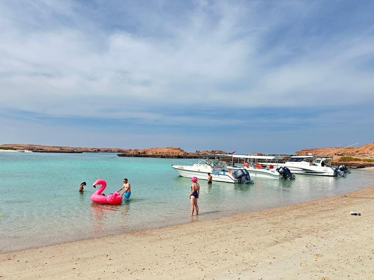 Snorkeling with turtles at Daymaniat island
