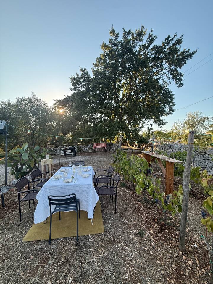 Wine Tasting among the Trulli in the Itria Valley