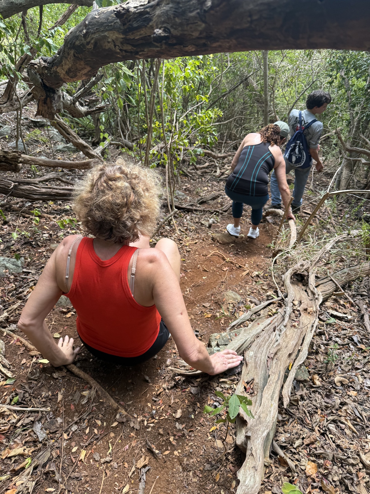 Brewers Cave Hike & Snorkel with Sea Turtles
