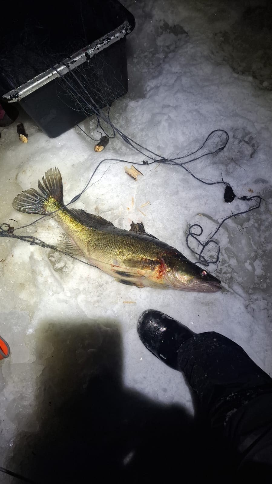 Winter fishing trip with professional fishermen