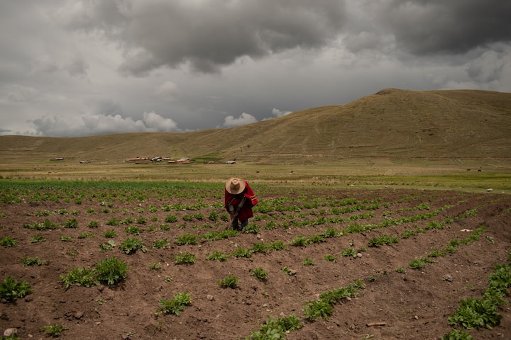 Გაატარეთ ერთი დღე ჩიკნაჰუაში ანდების მაცხოვრებლების მსგავსად