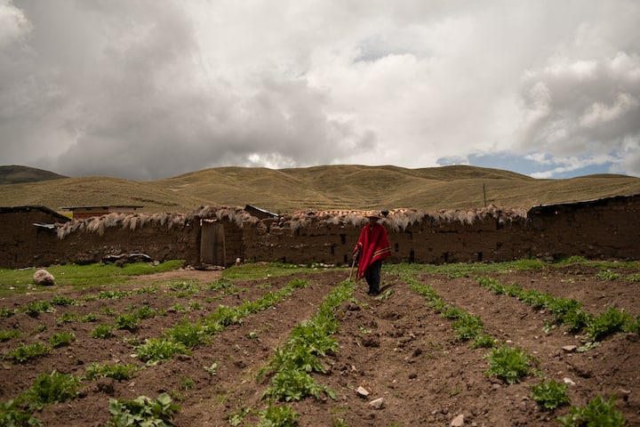Გაატარეთ ერთი დღე ჩიკნაჰუაში ანდების მაცხოვრებლების მსგავსად