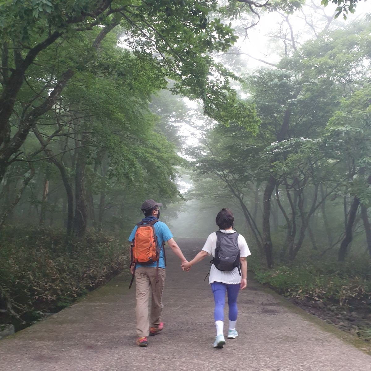 Jeju Premium Private Tour: Meditative Walking