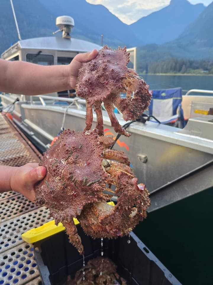 Обиколка на Скукумчък Пийк Тайд