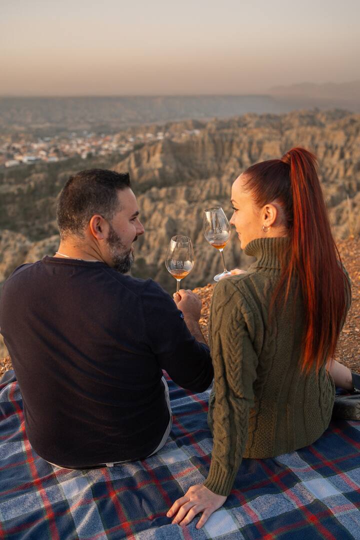 ღვინის სული ხელოვნების გარეშე - Bodega Toral