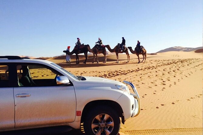 Authentic Chegaga desert life experience