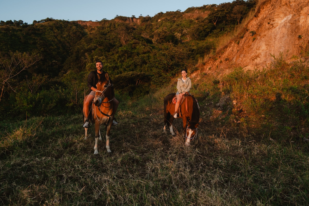 Horseback riding in nature