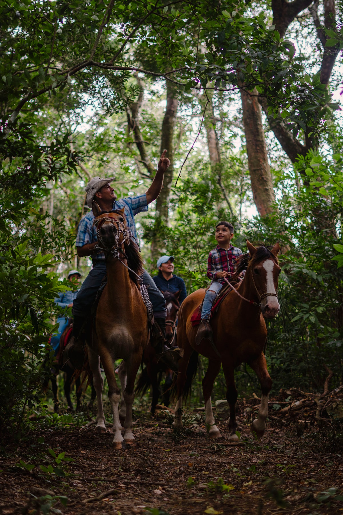 Horseback riding in nature
