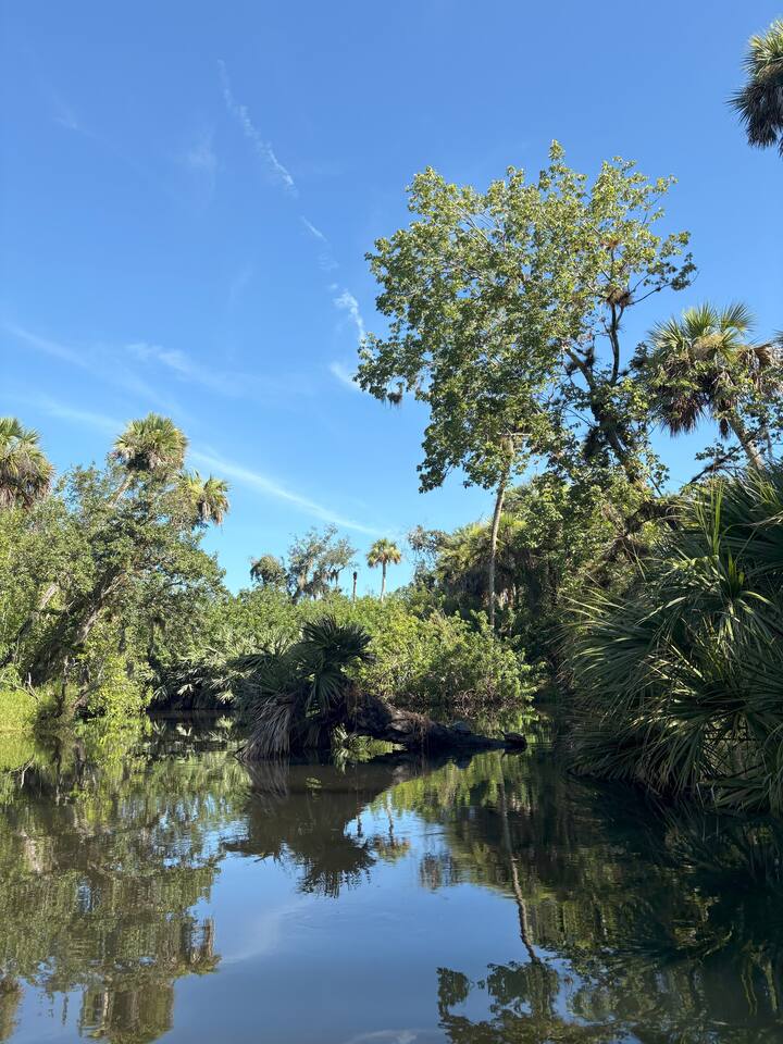 Pagayez sur les voies navigables cachées de la Floride