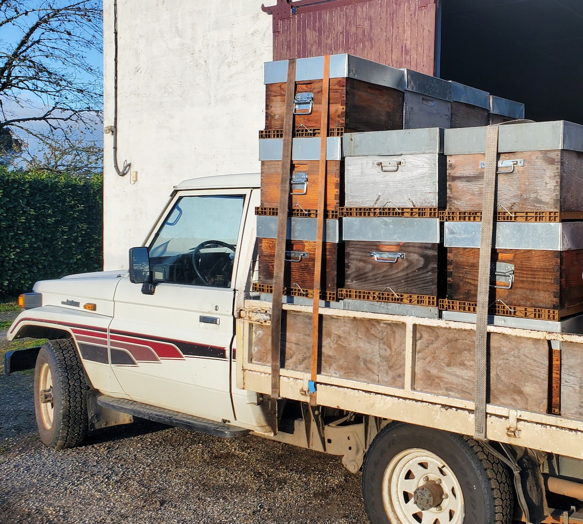 Discover the world of Abielles in France