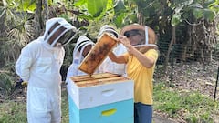 养蜂场之旅和蜂蜜品尝体验