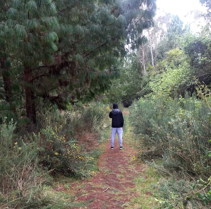 Ecja në Tokën e Kripës, Historia dhe Peizazhet