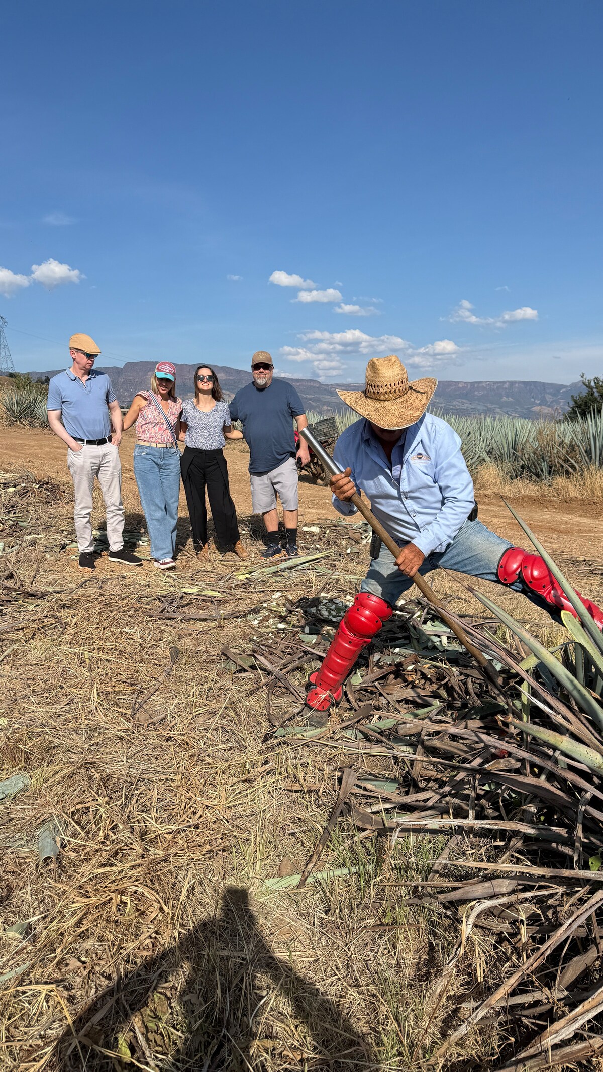 Tequila Guachimontones Cultural Heritage Route