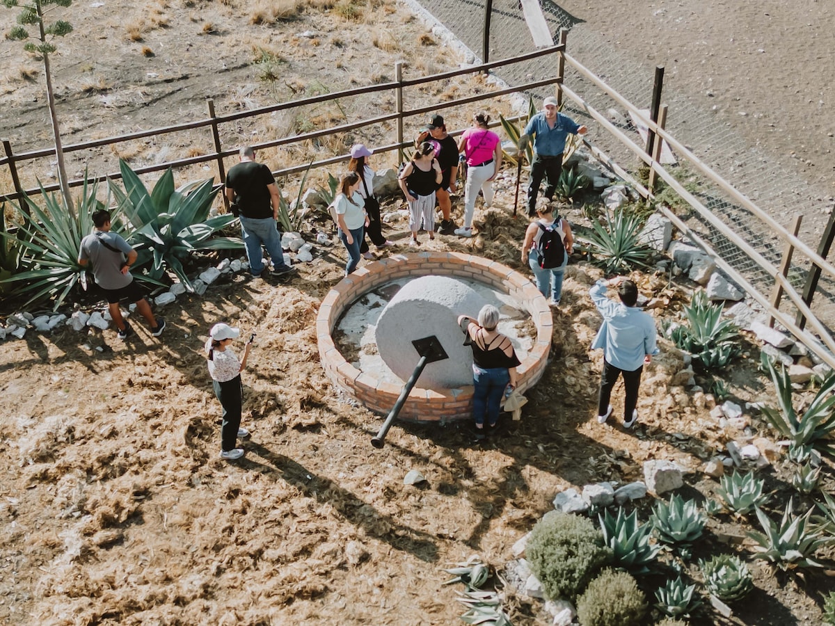 Experience mezcal production in Guanajuato