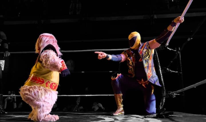 FIFA 2026 FanFest ir laisvoji kova