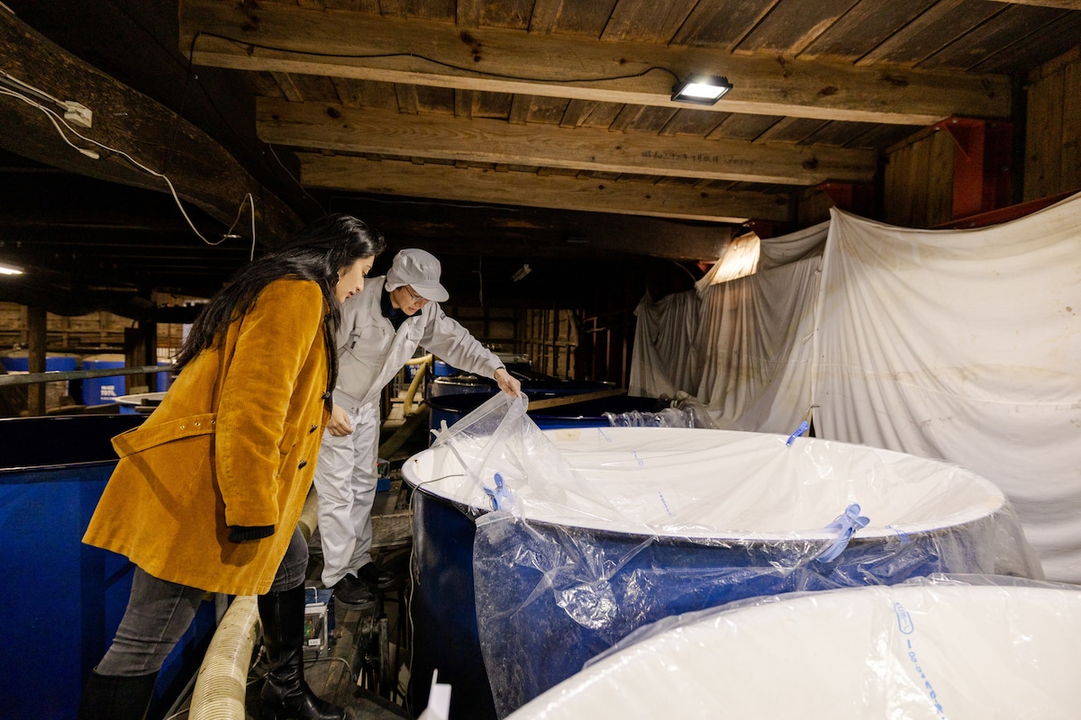 Experience at Nishihori Brewery Sake tasting & brewery tour