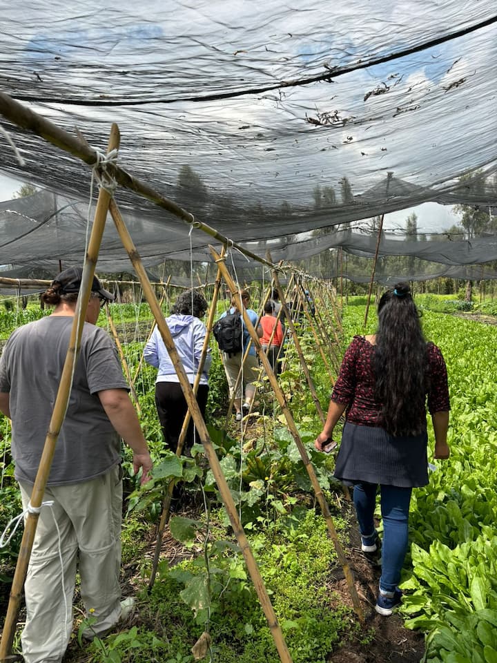 Grow Your Own Chinampa