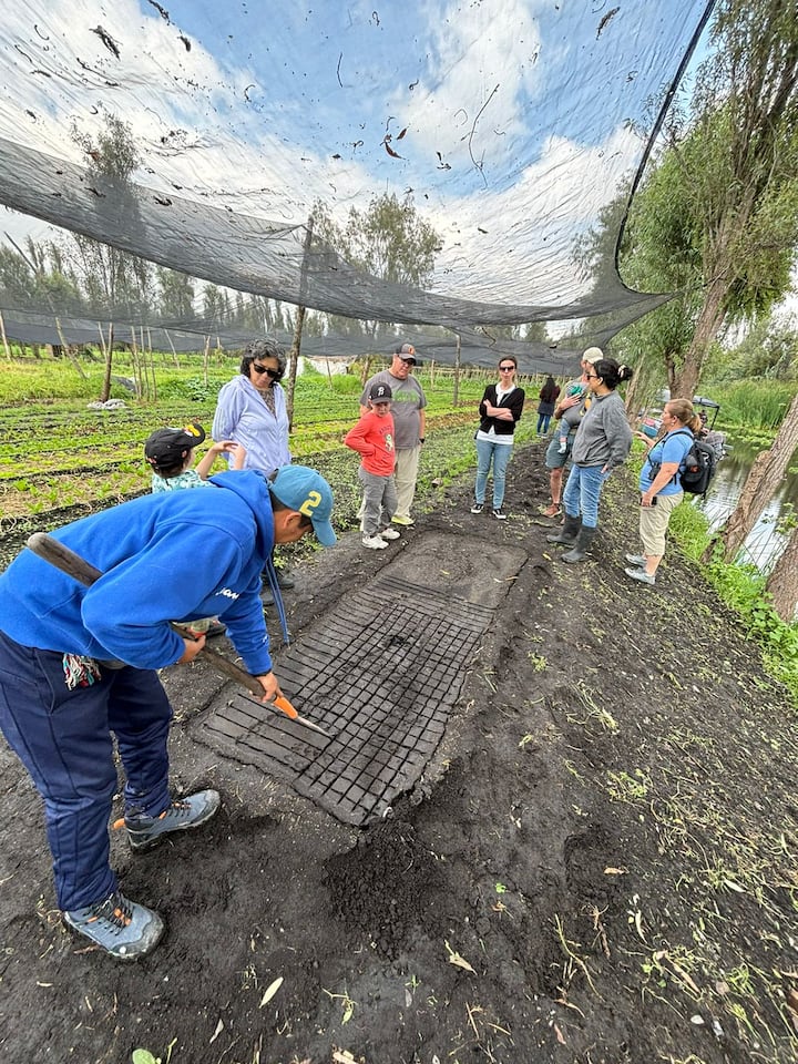 Grow Your Own Chinampa